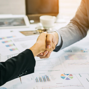 Portal del Prove�dor